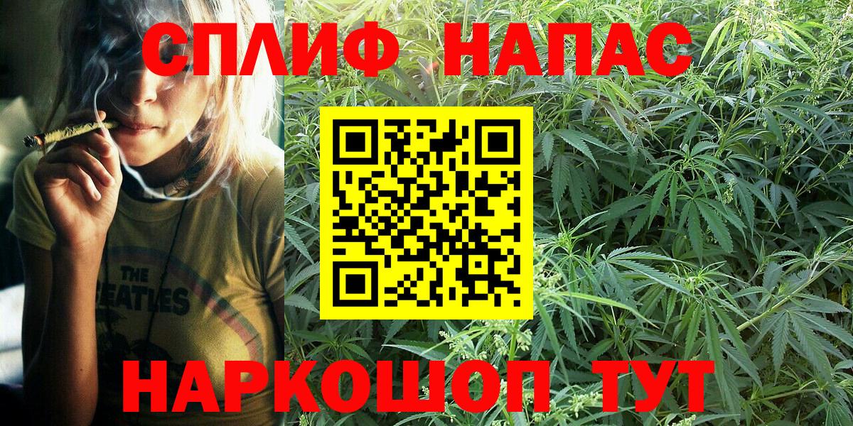 Марихуана Bruce Banner  Вход с VPN  Бошки марихуана марихуана  Тверь 
